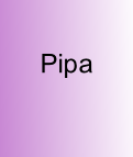 
Pipa